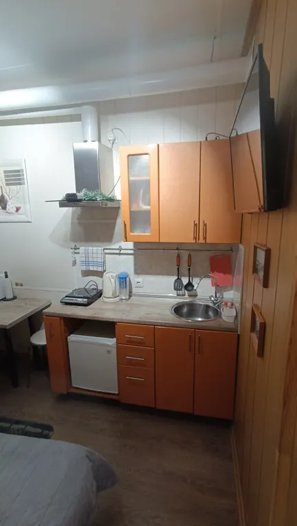 Небольшая уютная студия в самом центре