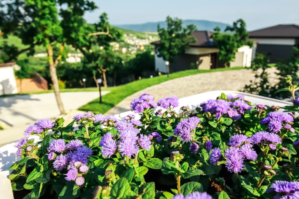 "MONS" Уютный коттедж в горах