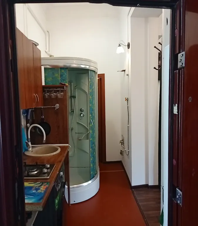 Двушка в старинном особняке у самого парка с двумя балконами