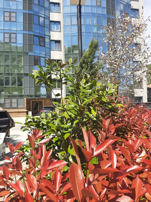 Райский уголок у Черного моря