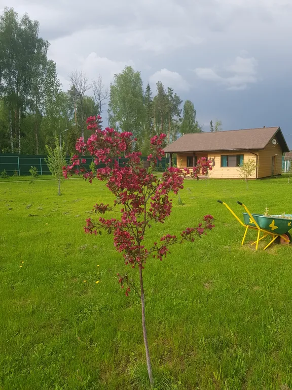 Коттедж Sport Village в тихом и уютном месте — аренда посуточно в Козьмодемьянск