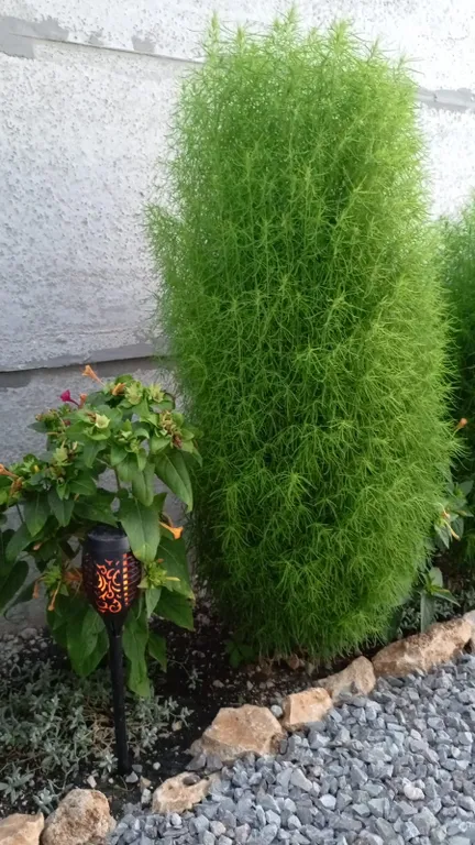 Уютный трёхместный номер на Фиоленте