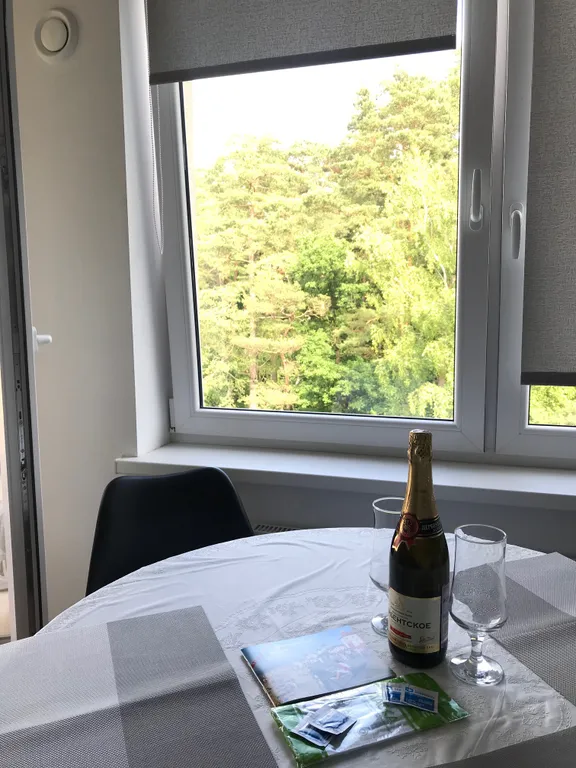 Апартаменты с видом на лес