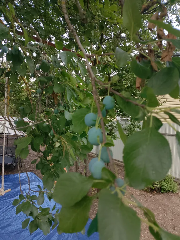 Уютный номер с большим двором