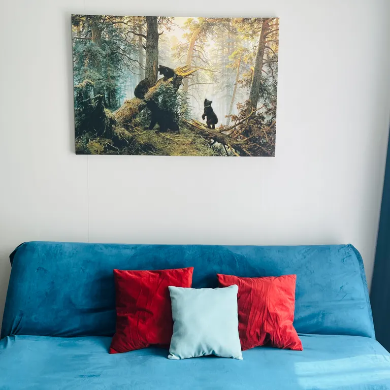 Квартира на Сортировке