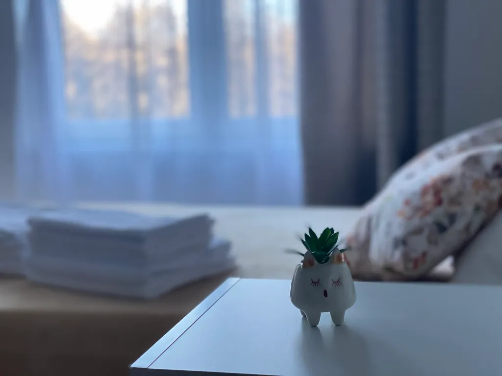 Уютная квартира с видом на Куршскую Косу