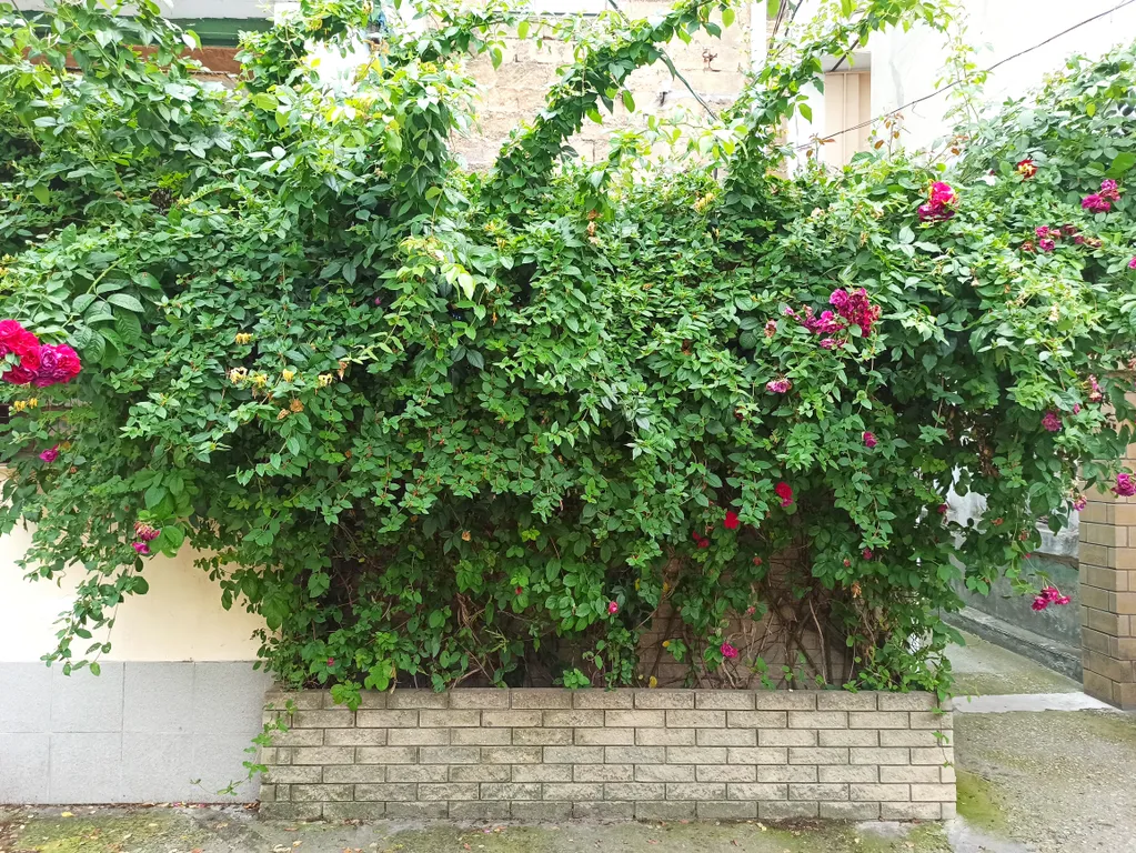 Квартира с красивой беседкой у моря