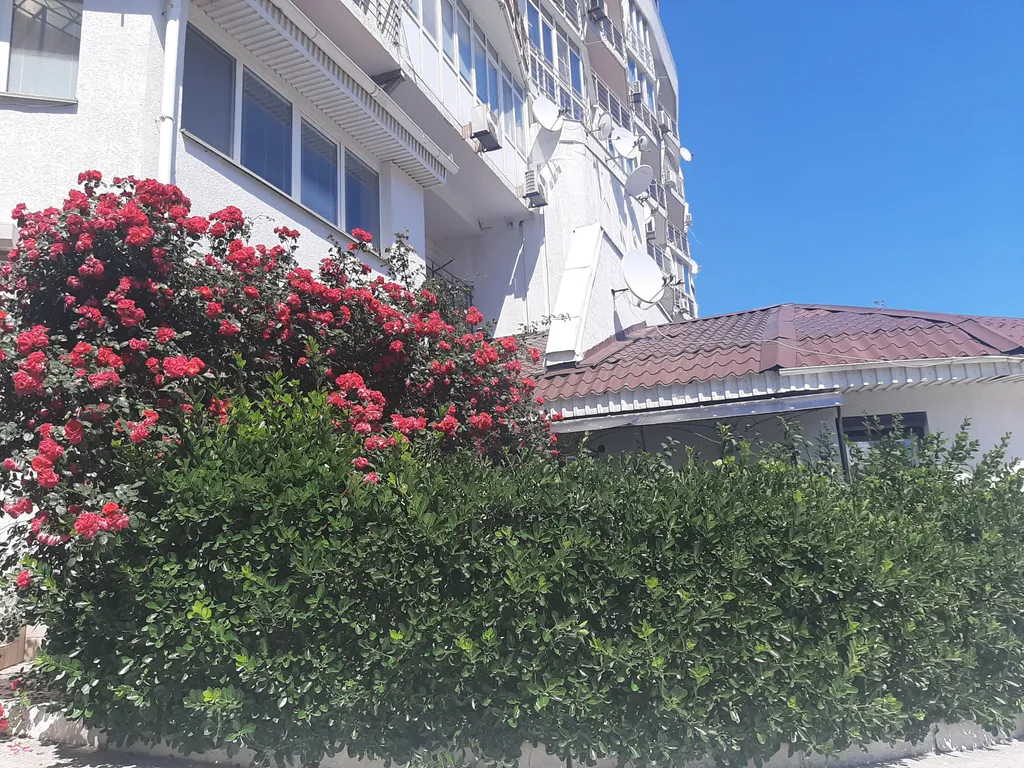 Апартаменты у моря с видом на море