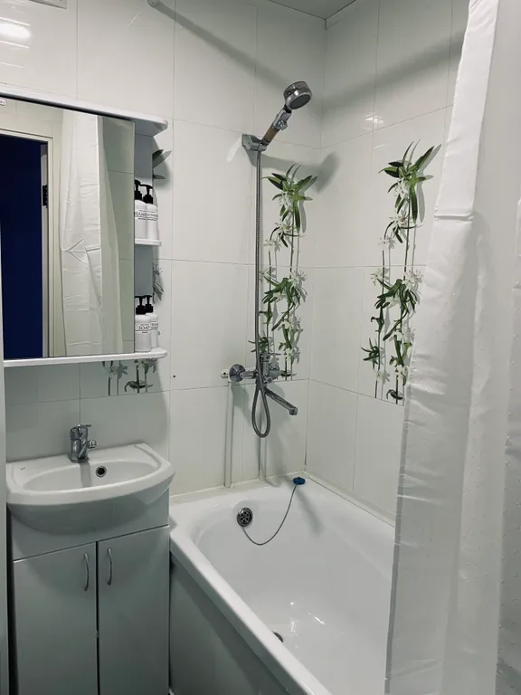 Уютная однокомнатная квартира