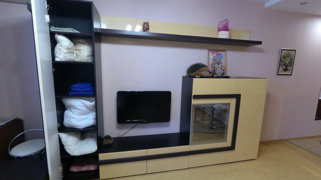 Уютная квартира в самом центре города у центрального парка