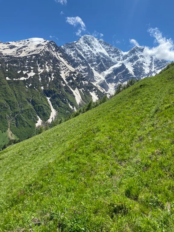 Уютная светлая квартира в лесу среди гор