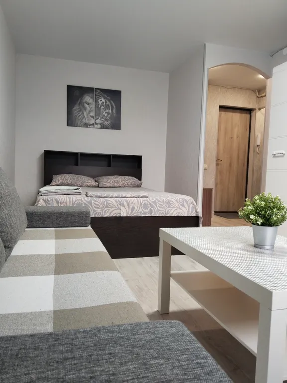 Квартира Комфортная однушка — аренда посуточно в Волжский