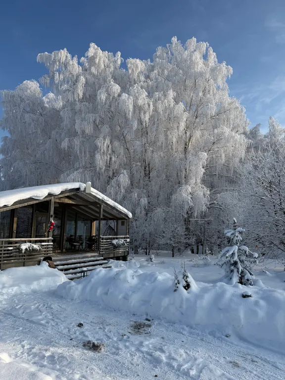 Коттедж Дом в лесу — аренда посуточно в Заокский