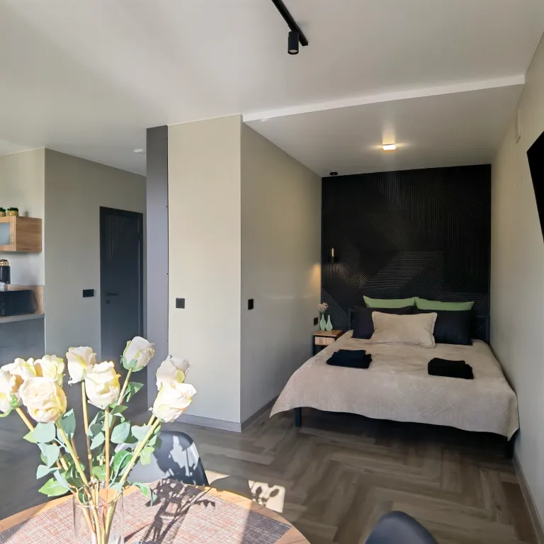 Квартира Студия Эко с кондиционером в самом центре — аренда посуточно в Чита