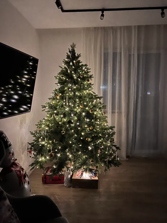 Просторный дом с камином в сосновом лесу