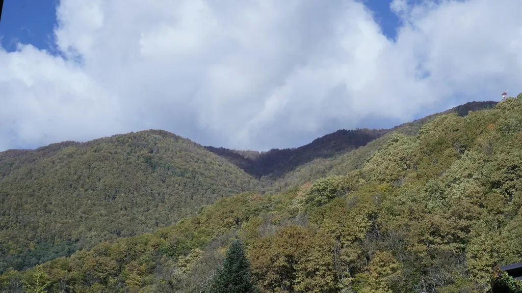 Дизайнерский апартамент со спальней и балконом