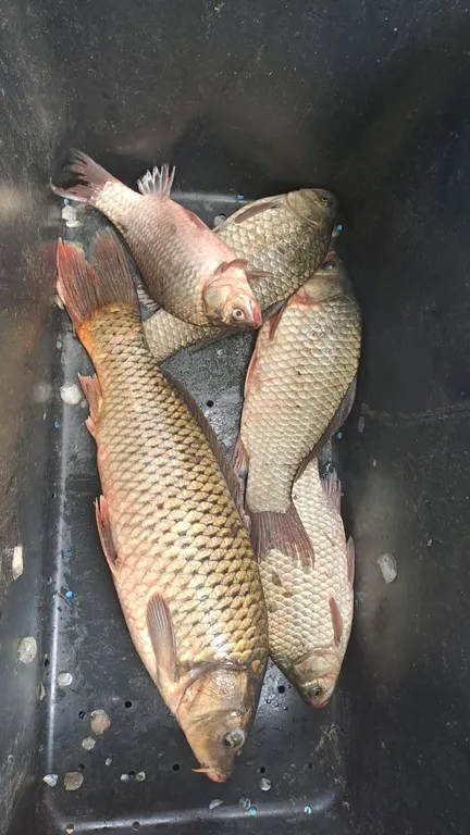 Дом на берегу реки для рыбалки и отдыха