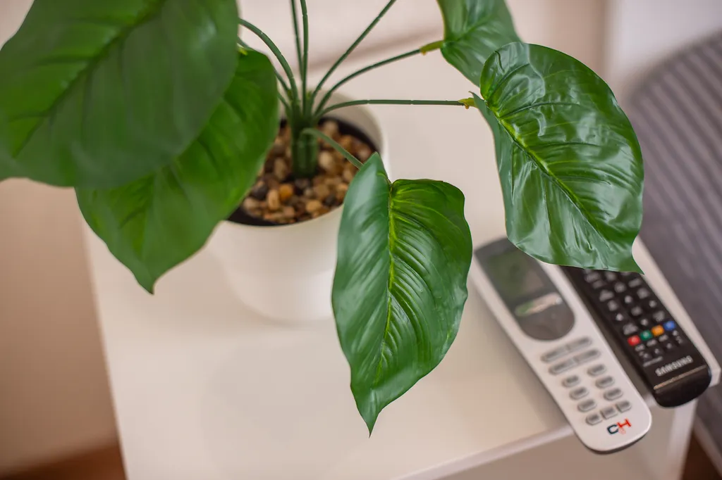 Квартира Апартаменты с террасой — Витино