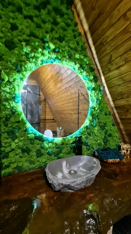 З-комнатный дом У Озера в лесу