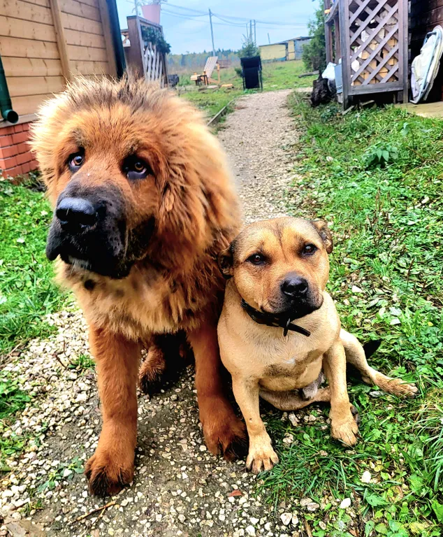 Уютный домик на семейной экоферме