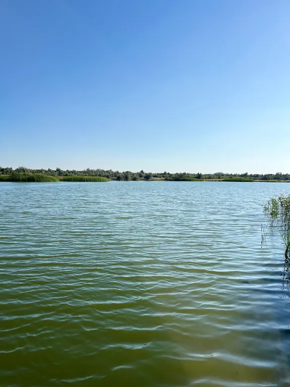 Гостевой дом Енот