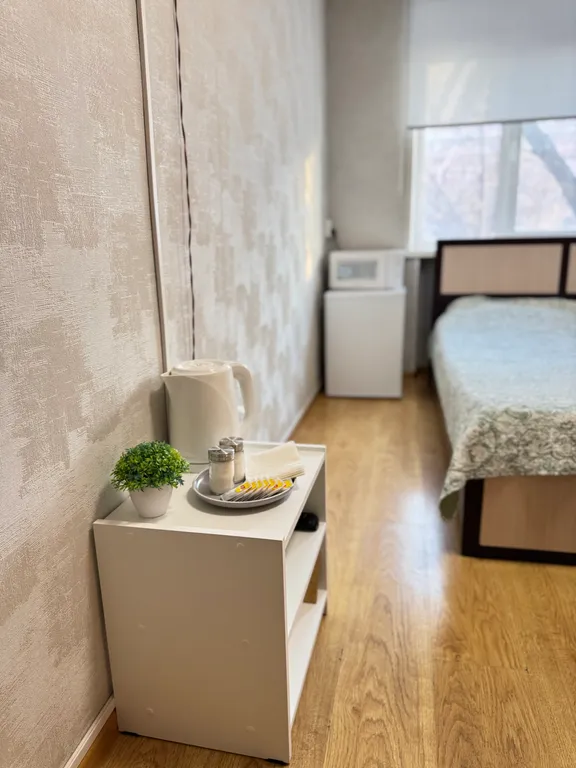 Квартира В центре — аренда посуточно в Красноярск