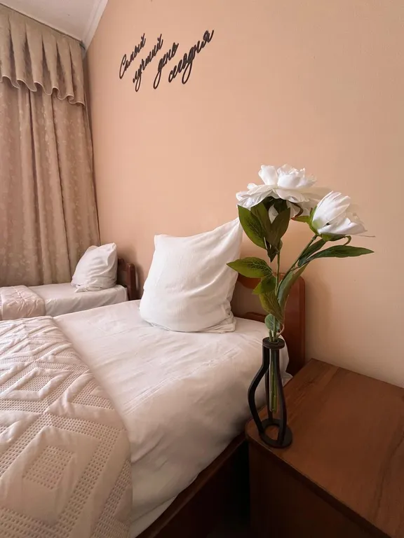 Двухместный стандарт