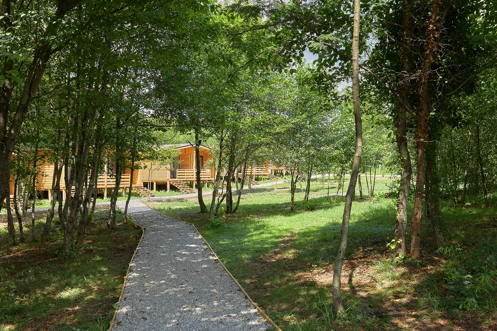 Стандартный номер в коттедже с видом на лес