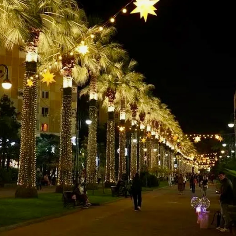 Квартира Квартира- студия — Сочи