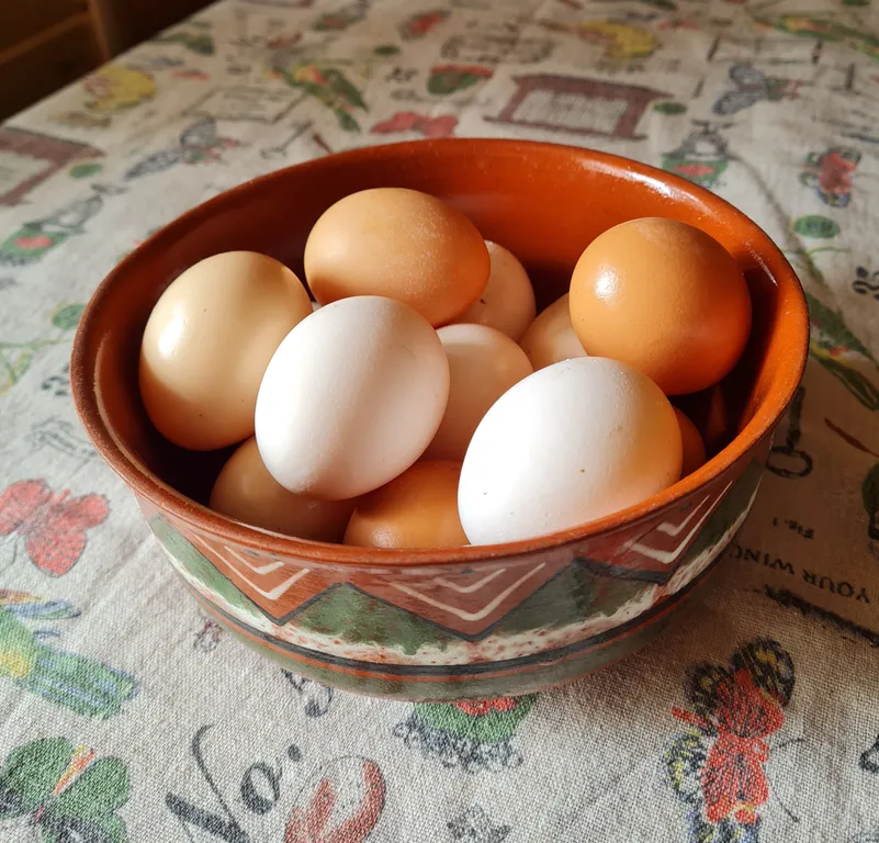 Дом у озера Мстижа