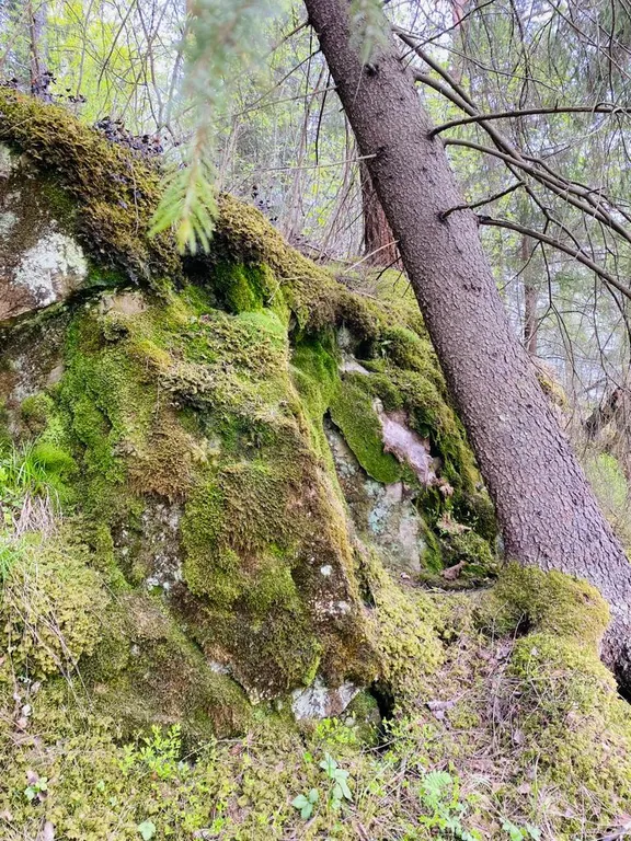 Деревенский дом у озера