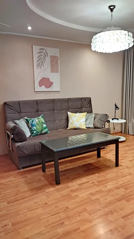 Квартира у Ленты