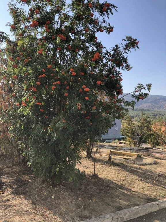 Белая студия с видом на горы