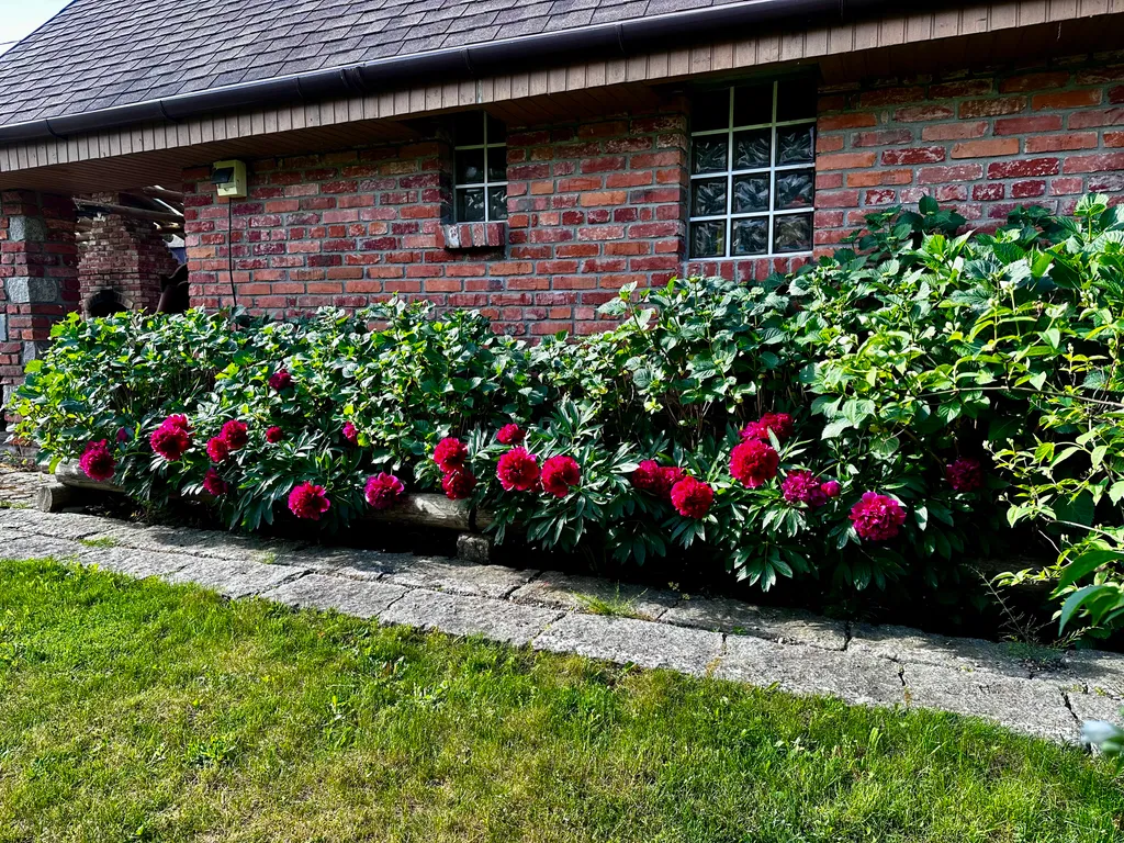 Дом-усадьба с видом на море с баней и беседкой