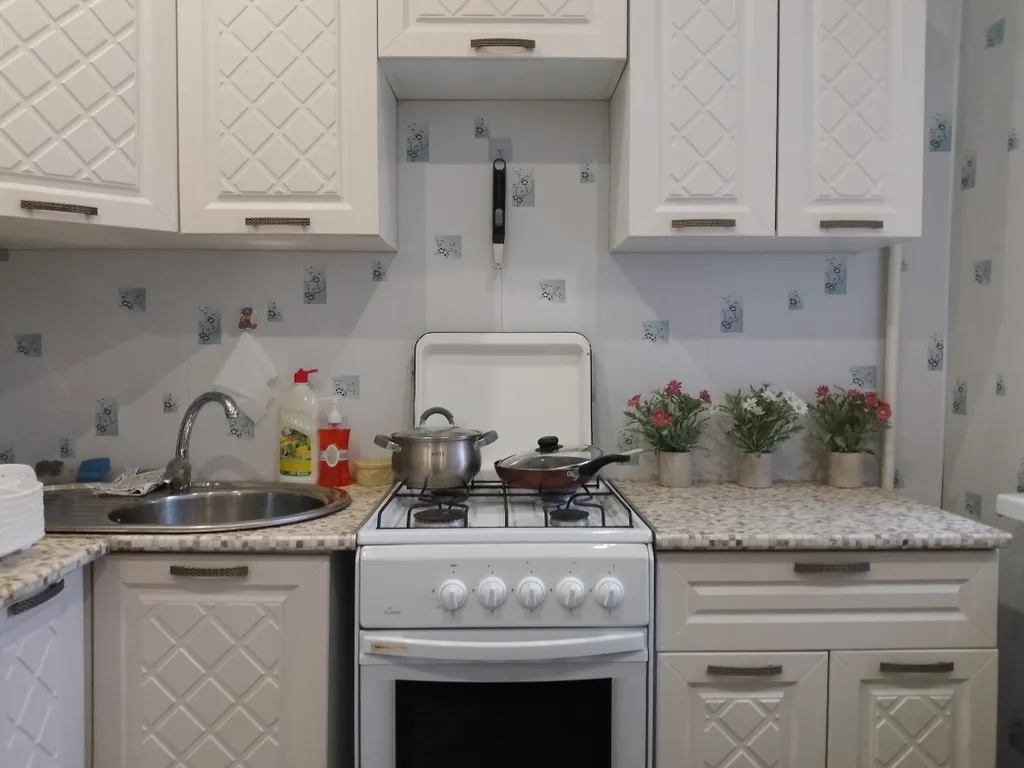 Уютная квартира у парка Берендеевка