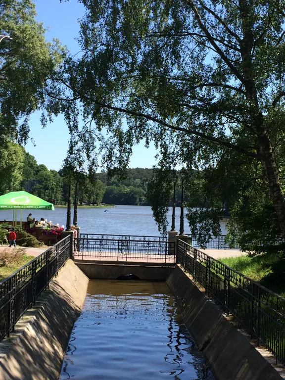 Уютная квартира в центре с видом на сосновый лес