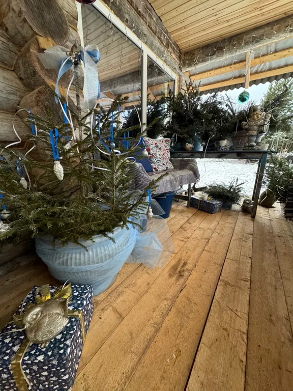 Озерный домик на Онего