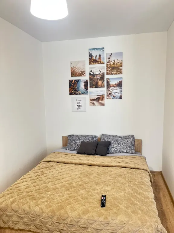 Уютная студия в тихом районе