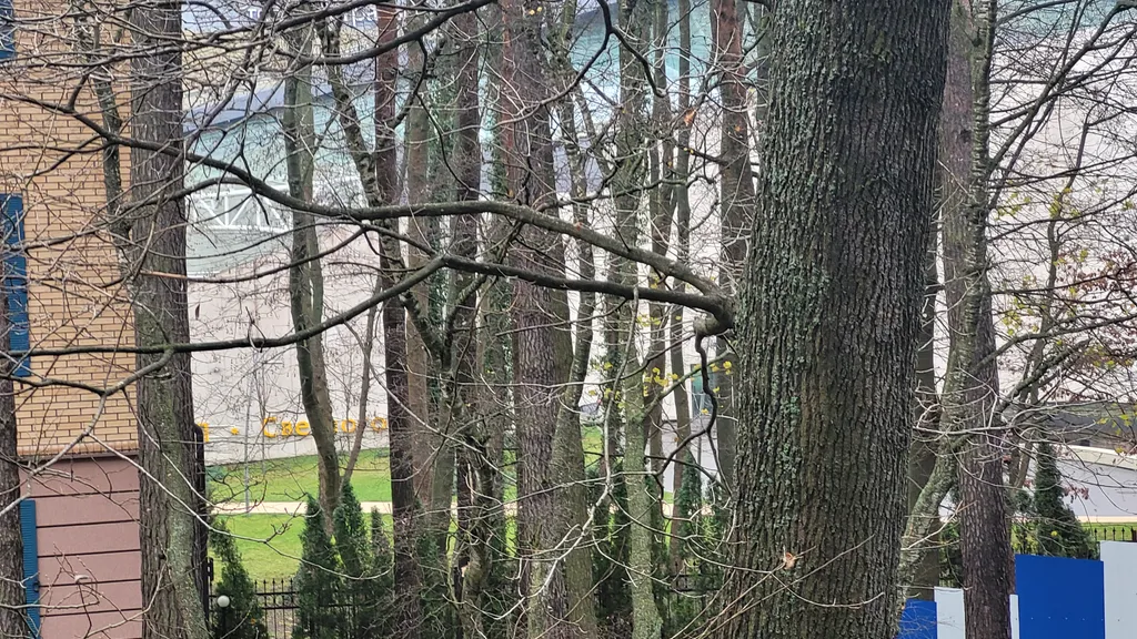 Просторная квартира для семейного отдыха