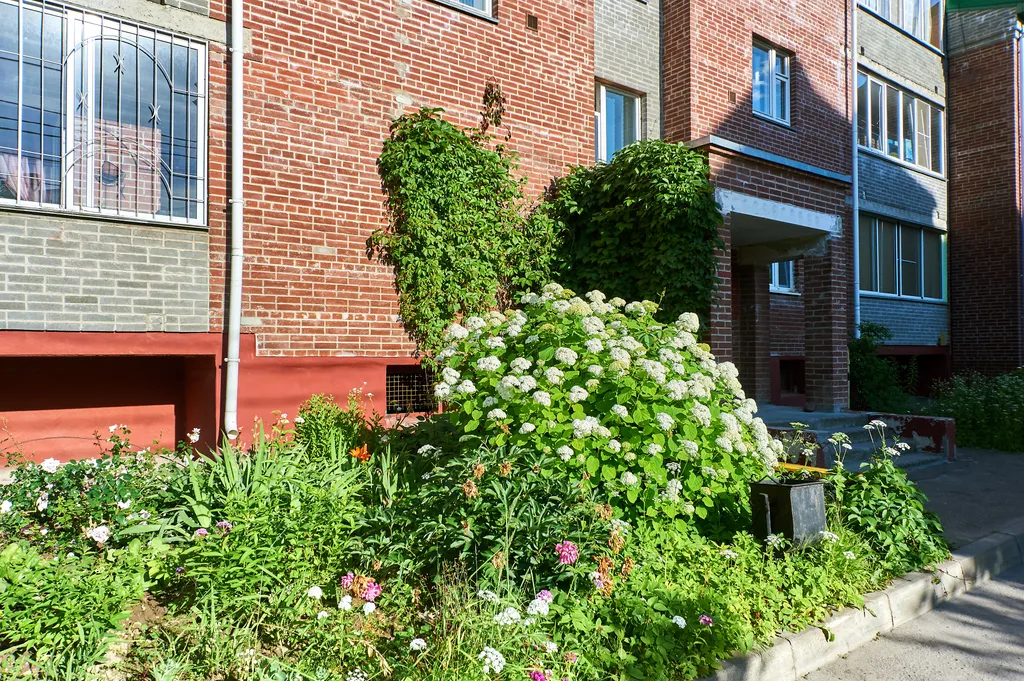 Отличная квартира рядом с центром Ортопедии и ТЦ Макси