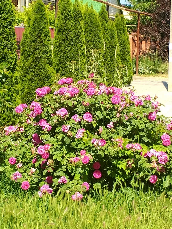 Квартира Квартира Солнечная студия на Азовском море — Кучугуры