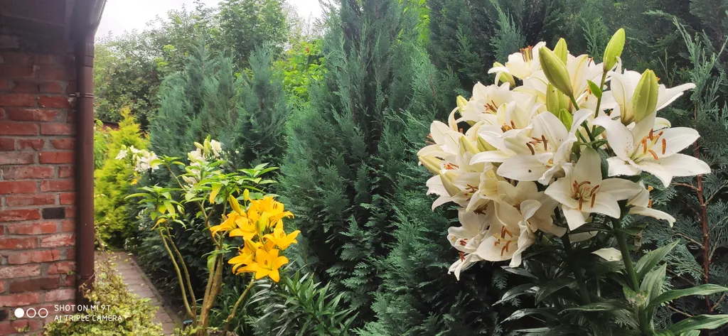 Небольшая дружелюбная студия с патио