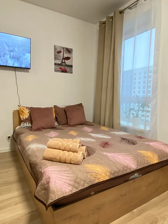 Квартира Вместительная студия в новом ЖК — аренда посуточно в Балашиха