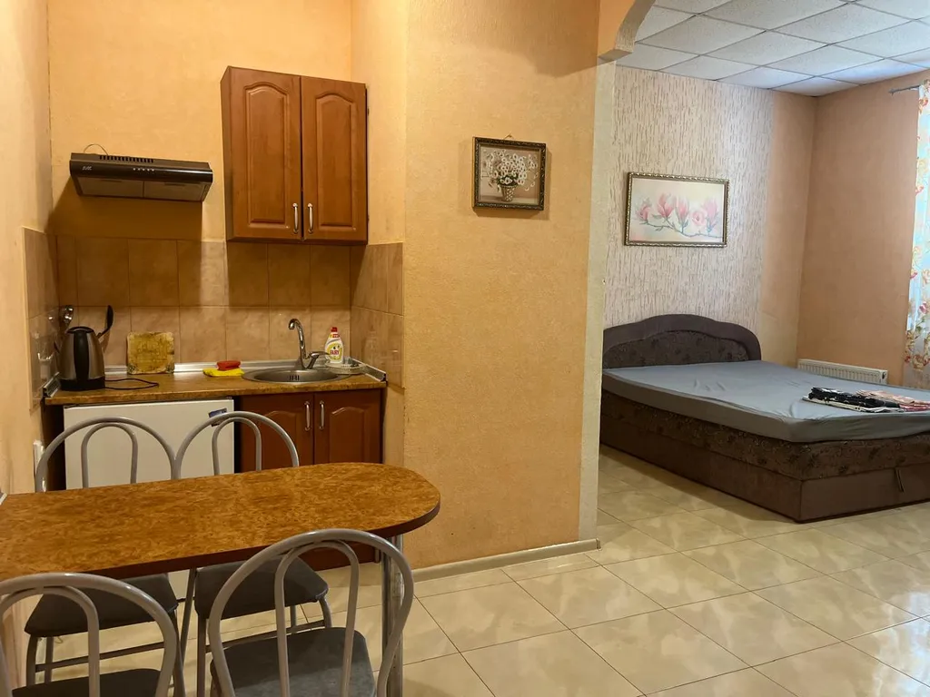 Квартира-студия в центре города