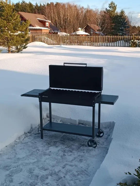 Боровики Хаус дом с камином