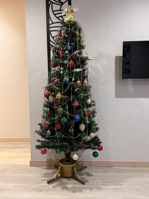 Квартира в сердце Рязани с видом на театр драмы