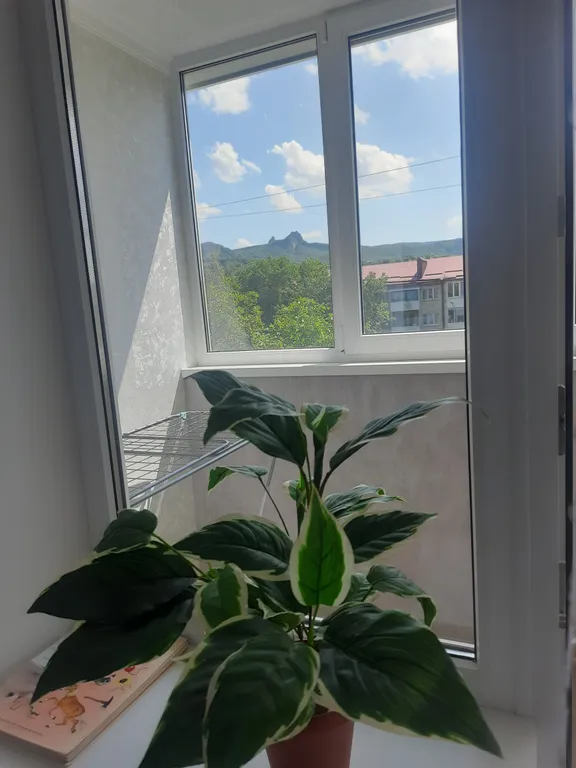 Квартира возле парка имени Говорухина