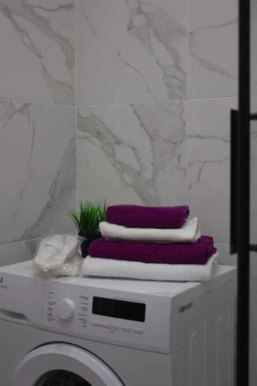 Новая квартира в центре