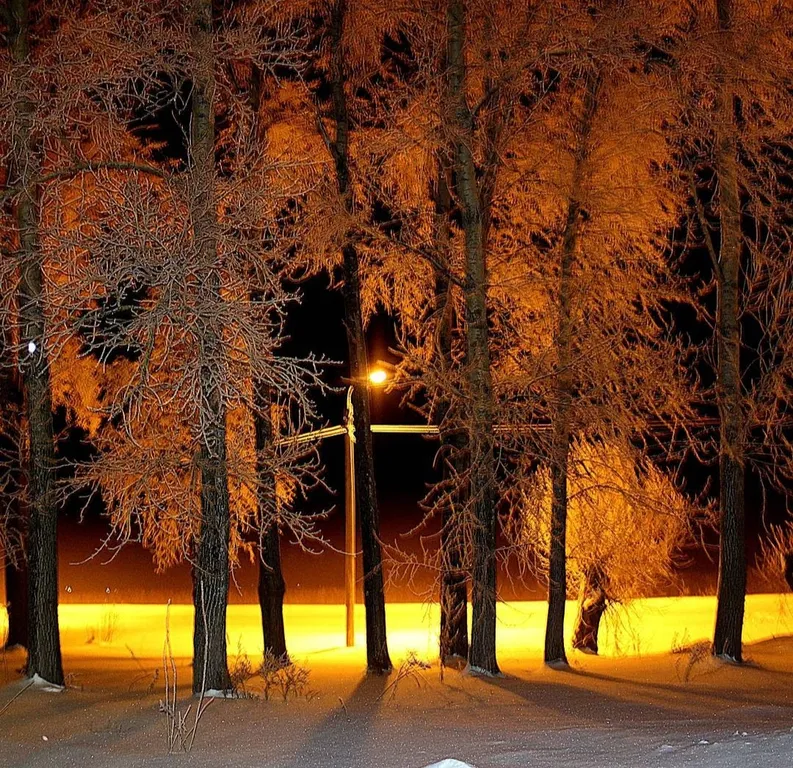 Дом с видом на Селигер