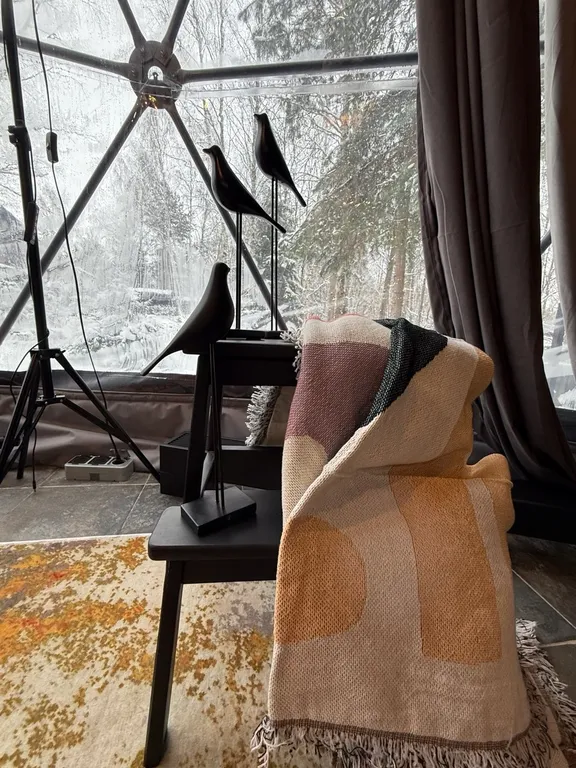 Новая сфера для глэмпинга Бёрд&Self vibe с дизайнерским интерьером